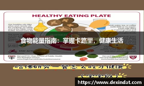 食物能量指南：掌握卡路里，健康生活